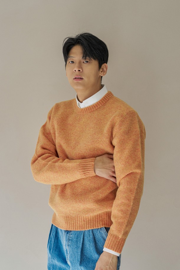 MANNERGRAM - 스웨터 - NEW 쉐기독 셔틀랜드 울100 니트 SOFT NECK_11color