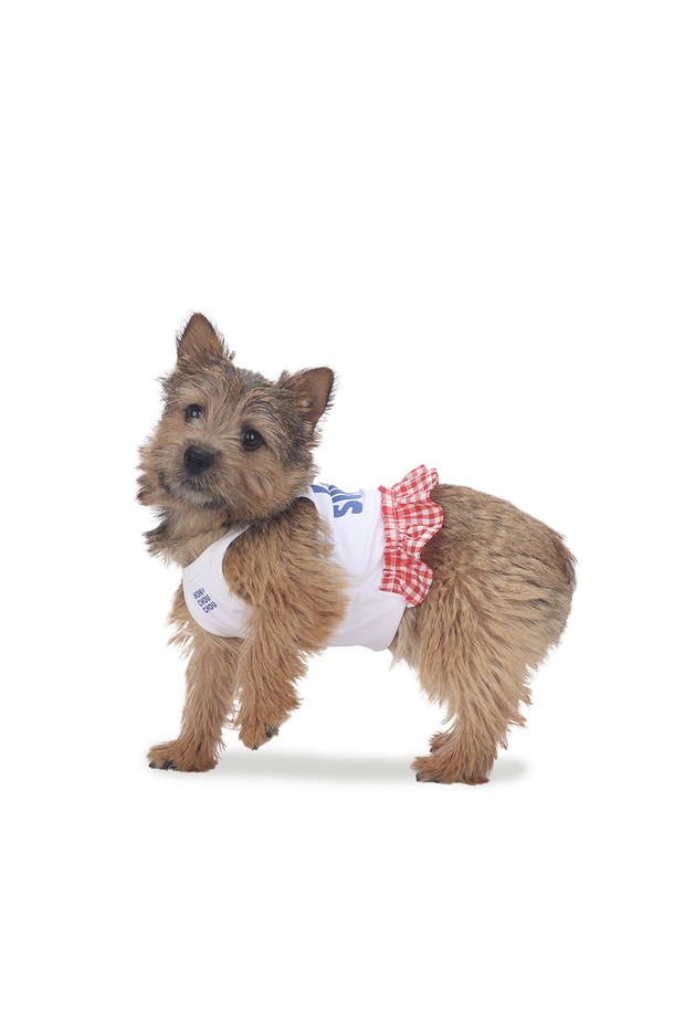 "I HATE SUMMER Minidress"는 반려동물의 활동적인 여름을 위한 기능성 의류입니다. 부드러운 촉감의 프리미엄 나일론과 스판덱스 소재를 사용하여 신축성과 회복력이 뛰어나며, 얇은 두께감으로 통기성을 높였습니다.  UV 차단 및 속건 기능으로 쾌적함을 유지하며, SUV Fit으로 활동성을 보장하여 S/M부터 2XL까지 다양한 사이즈로 만나볼 수 있습니다.
