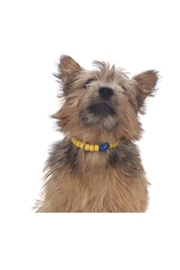 반려동물의 패션을 완성할 Pop Star 액세서리입니다. 알록달록한 비즈 장식이 돋보이며, S, M, L 세 가지 사이즈로 제공됩니다. 프리미엄 무독성 비즈를 사용하여 안전하며, 로고 패키지와 더스트백이 함께 제공됩니다. (비즈 표면에 미세한 스크래치가 있을 수 있습니다.)
