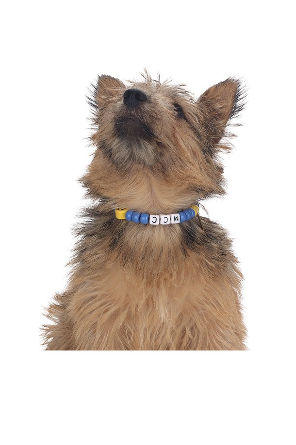 "Hawaii 비즈 목걸이"는 알록달록한 색상과 감각적인 비즈 디자인이 돋보이는, 반려견을 위한 목걸이입니다. S, M, L 세 가지 사이즈로 제공되며, 프리미엄 무독성 비즈 소재로 제작되어 안전하게 착용할 수 있습니다. 섬세한 스타일을 완성하는 이 목걸이는 고급스러운 로고 패키지와 맞춤형 패키지로 제공되어 소중한 반려견을 위한 특별한 선물이 될 것입니다. 착용 시 비즈 표면에 미세한 스크래치가 있을 수 있으며, 더스트백에 보관하여 더욱 오랫동안 사용할 수 있습니다.
