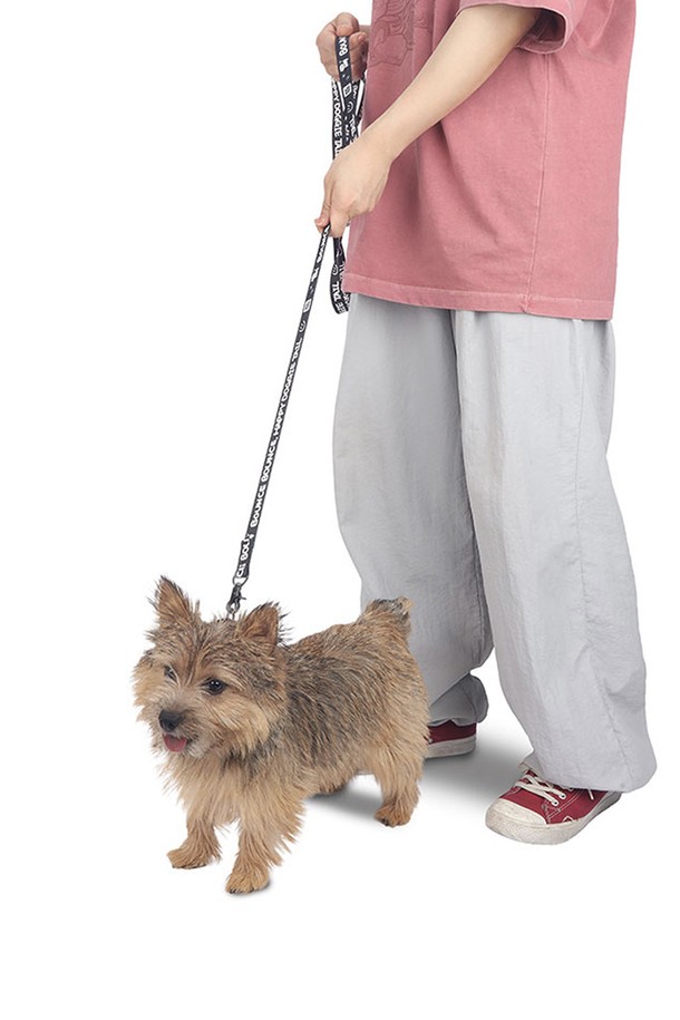 Happy Bounce Leash는 반려동물과의 즐거운 산책을 위한 웨빙 소재의 리드줄입니다. 부드러운 촉감과 중간 두께로 제작되었으며, 174cm의 넉넉한 길이로 활동성을 보장합니다. 손에 편안하게 감기는 그립감과 핸드피팅 디자인으로 산책 시 편안함을 더하며, 세련된 싱글 리드 디자인이 돋보입니다.
