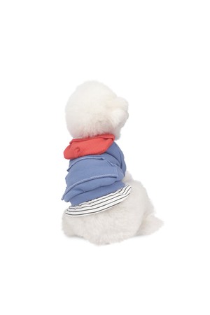 Wave Beanie Sweatshirt