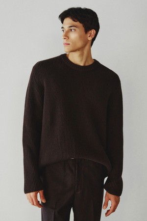 조니 메리노울 라운드넥 풀오버 브라운