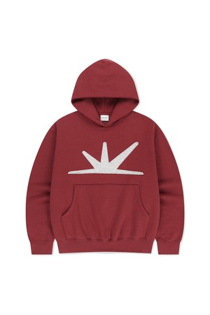 Daybreak Brushed Hoodie Burgundy