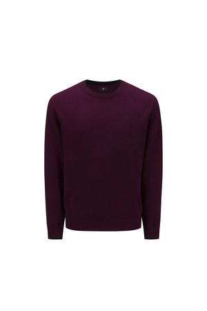 [ANEW GOLF] MEN SP CASHMERE ROUND SWEATER_WI_WINE-a