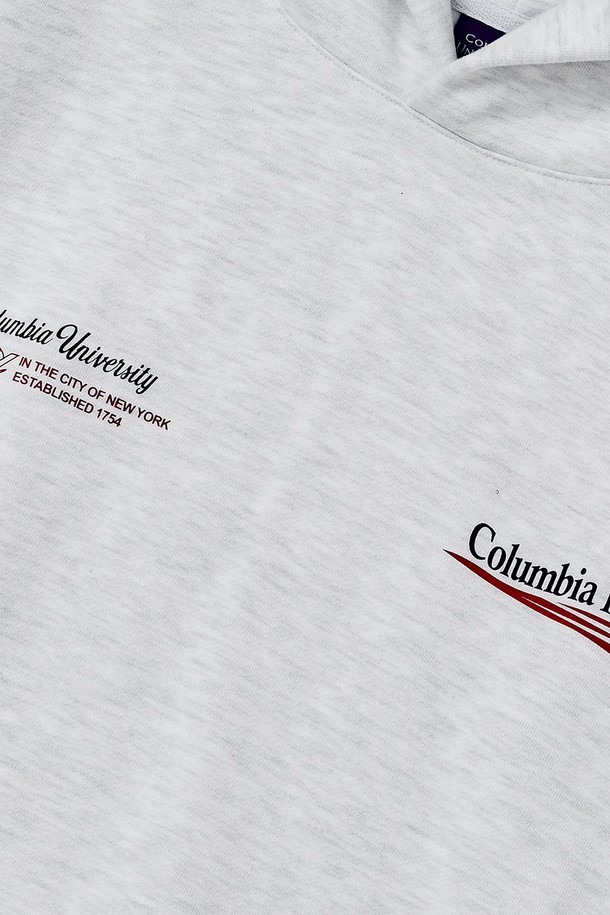 COLUMBIA UNIVERSITY - 후디 - CU BIG WAVE H/FLEECE HOODIE L그레이