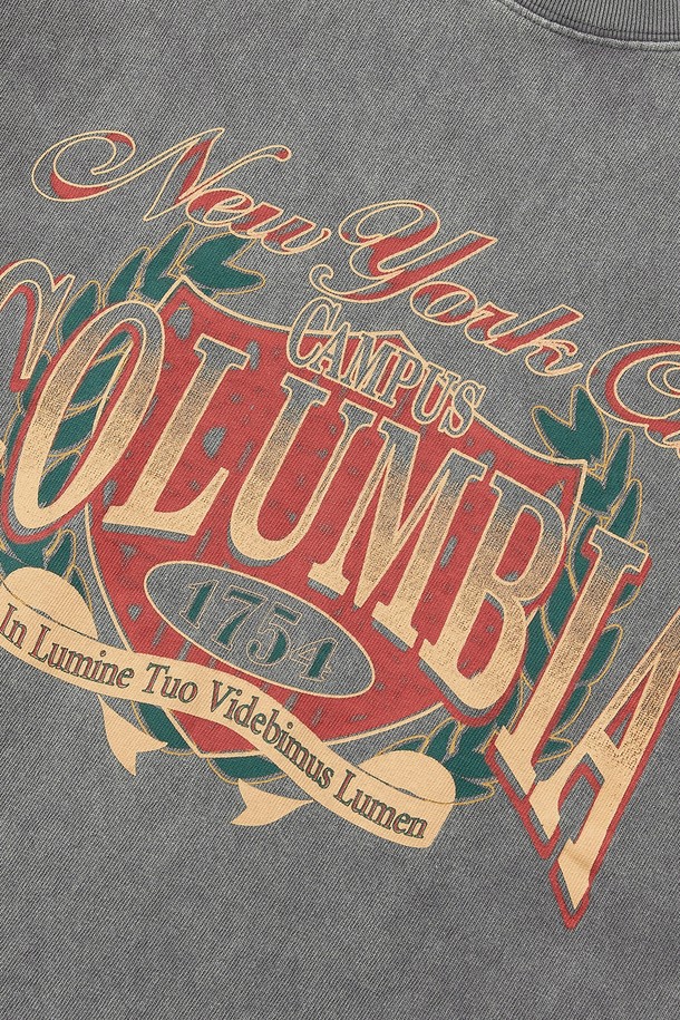 COLUMBIA UNIVERSITY - 반팔티셔츠 - CU CAMPUS MINERAL WASHED WOMEN S/S T-SHIRTS 그레이