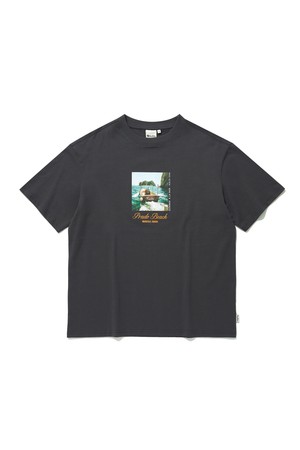 ACTUAL IMAGE T-SHIRT_GREY