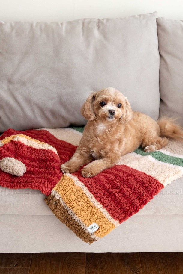강아지 플리스 망토 블랭킷은 부드러운 플리스 소재로 제작되어 가을과 겨울철에 따뜻하게 사용하기 좋은 반려동물 의류입니다. 망토와 블랭킷 두 가지 디자인으로 활용 가능하며, 옐로우, 레드, 그린 3가지 색상으로 제공됩니다. 2가지 사이즈로 출시되어 다양한 견종에 맞춰 선택할 수 있습니다. 두꺼운 두께감으로 보온성을 높였으며, 부드러운 촉감이 특징입니다. 
