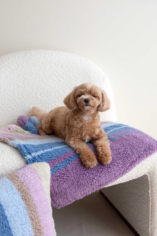 따뜻하고 포근한 강아지 플리스 망토 블랭킷입니다. 부드러운 플리스 소재로 제작되어 쌀쌀한 가을, 겨울철에도 우리 강아지를 따뜻하게 감싸줍니다. 망토 스타일의 디자인으로 편안하게 착용할 수 있으며, 보온성을 더욱 높여줍니다. 블루, 퍼플, 핑크 3가지 사랑스러운 컬러 옵션과 2가지 사이즈로 만나보세요. 털 빠짐 걱정 없이 간편하게 사용할 수 있는 블랭킷 일체형 제품입니다.
