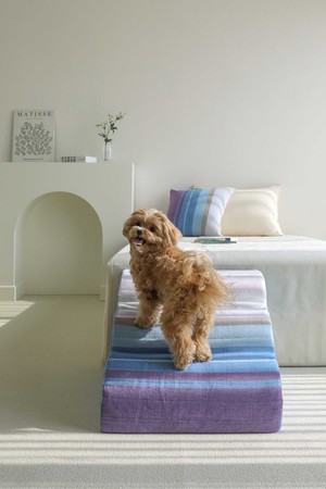 강아지 계단 라운드 오가닉코튼 3단 3color