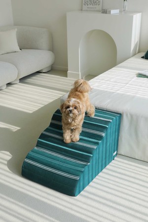 강아지 계단 라운드 오가닉코튼 3단 3color