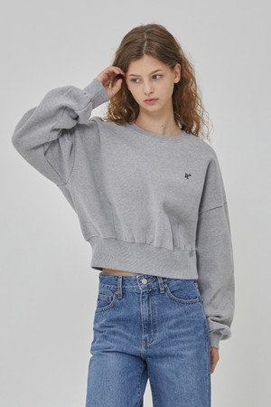 CROP STEADY SWEATSHIRT GREY