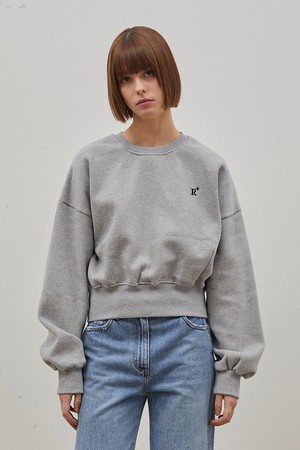 STEADY CROP SWEATSHIRT GRAY