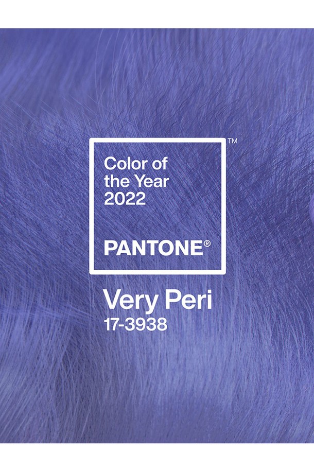 PANTONE - 테이블웨어 - 팬톤 머그컵(베리페리17-3938 2022COY)