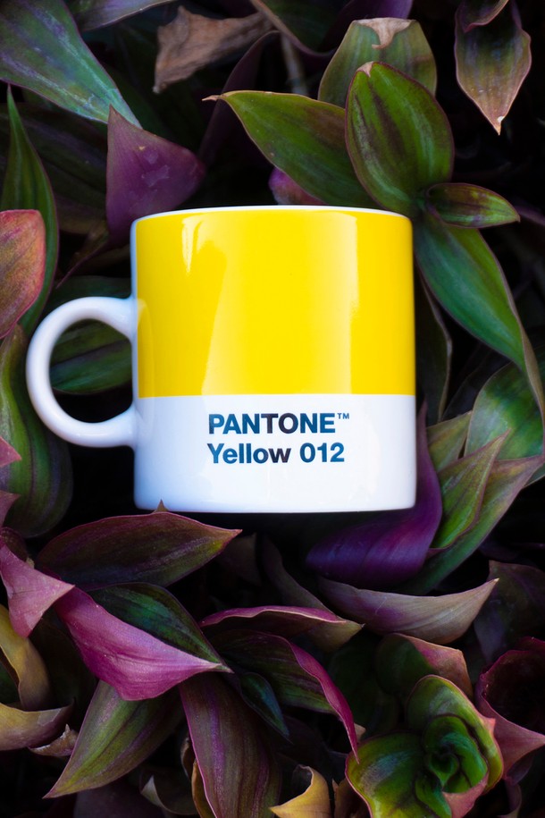 PANTONE - 테이블웨어 - 팬톤 에스프레소컵(옐로우012)