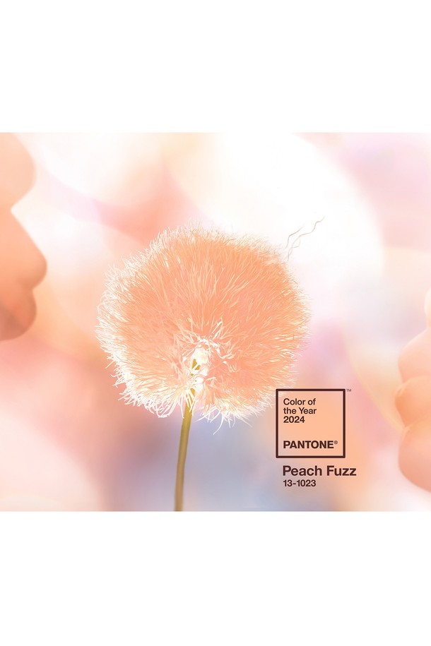 PANTONE - 테이블웨어 - 팬톤 머그컵(피치퍼즈13-1023 2024COY)