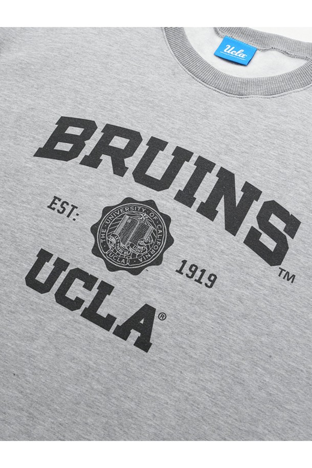 UCLA - 스웨트셔츠 - 남성 BRUINS 베이직 스웨트셔츠[M-GREY](UZBLTAA_51)