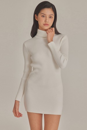 RIBBED HIGH NECK KNIT MINI DRESS_T423DS500