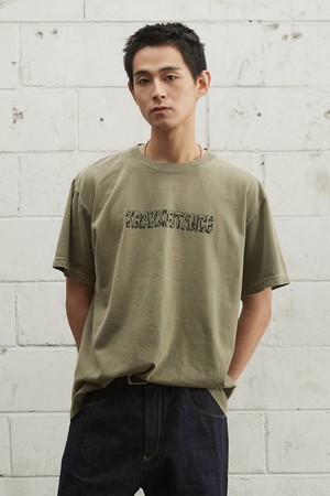 Stance Logo Tee_Khaki [KR265PUT413]