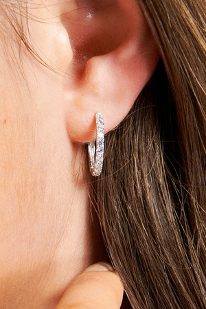 Shiny Line Silver Earring Ie348 [Silver]