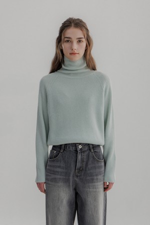 With Turtleneck Knit