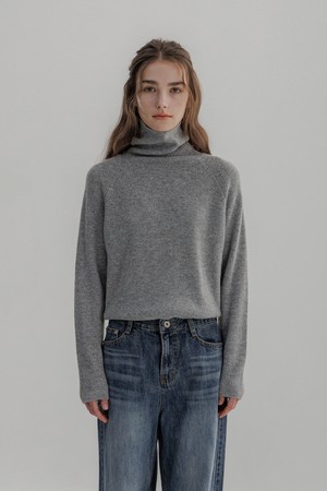 With Turtleneck Knit