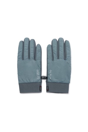 POLARTEC GLOVES - BLUE (P254AGL110)