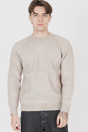 Hazzy Ribbed Raglan Knit (Beige)