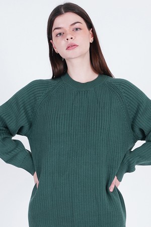 Hazzy Ribbed Raglan Knit (Green)