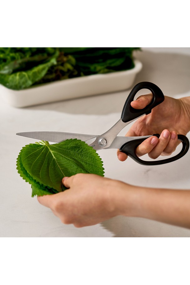 바겐슈타이거 스텐 그릴 커터 가위는 주방 조리에 특화된 제품입니다. 스테인리스 스틸 소재를 사용하여 내구성이 뛰어나며, 실버와 블랙 색상으로 깔끔한 디자인을 자랑합니다. 긴 날과 큰 사이즈로 그릴 커터 용도로 적합하며, 플라스틱 손잡이로 편안한 그립감을 제공합니다. 공식 판매점에서 판매되는 공식 인증 상품으로, 안심하고 사용할 수 있습니다. 요리를 더욱 편리하게 만들어줄 바겐슈타이거 스텐 그릴 커터 가위를 만나보세요.
