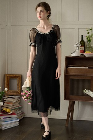 SR_Waltz mesh black dress