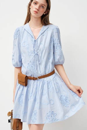Embroidery puff sleeve dress