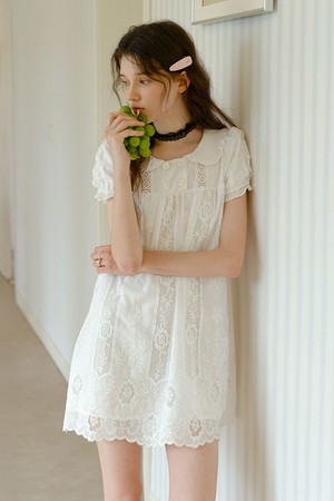 Lace embroidered babydoll dress