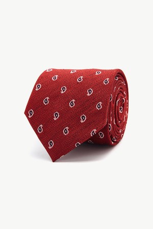 페이즐 올오버 넥타이 레드_SNTVZ27NPR