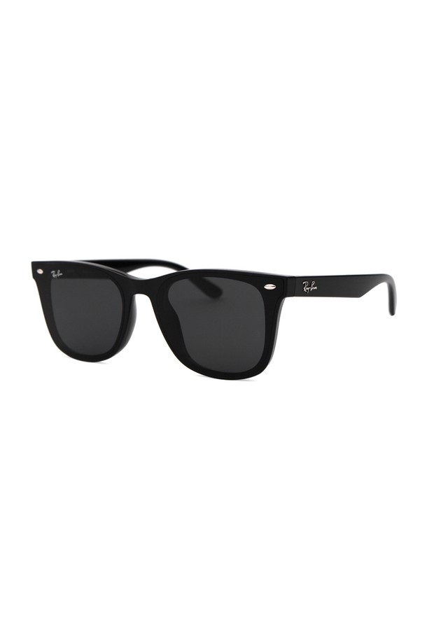 RAY BAN - 안경테/선글라스 - 레이밴 RB4391D 601 87 65 공식수입 스퀘어 뿔테 플랫바 아시안핏 레이벤 선글라스