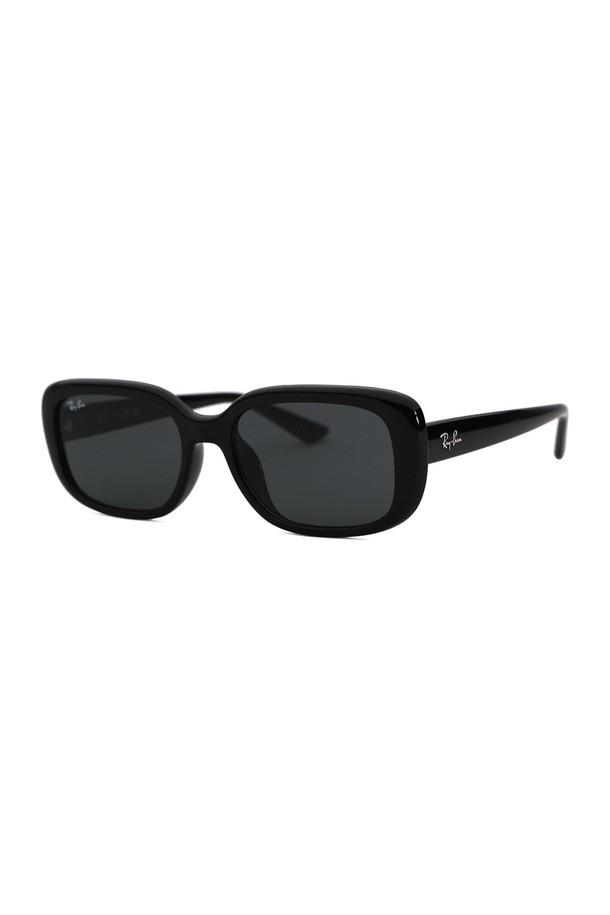 RAY BAN - 안경테/선글라스 - 레이밴 RB4421D 6677 87 56 공식수입 긱시크 사이파이 뿔테 레이벤 선글라스