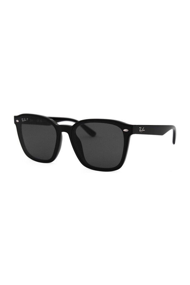 RAY BAN - 안경테/선글라스 - 레이밴 RB4392D 601 81 66 공식수입 스퀘어 뿔테 플랫바 아시안핏 편광 레이벤 선글라스