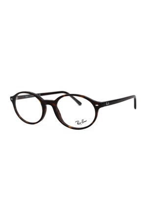 RX5429 2012 53 긱시크 오벌형 라운드 뿔테 라지 레이벤 안경테