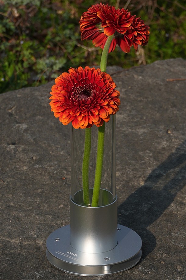 Duoringo Vase(듀오린고 베이스)는 알루미늄과 유리를 주요 소재로 사용하여 미니멀하고 모던한 스타일을 연출하는 홈데코/인테리어 소품입니다. 실버 색상의 원형 디자인과 불규칙한 표면 질감이 특징이며, 샌딩 및 아노다이징 마감 처리를 통해 세련된 매력을 더했습니다. 방수, 내부식성, 내스크래치 기능을 갖춰 실용성을 높였으며, 알루미늄 베이스와 글라스 병으로 구성되어 있습니다. 글라스 병을 결합하여 꽃병으로, 또는 분리하여 소품 진열대로 활용 가능합니다.
