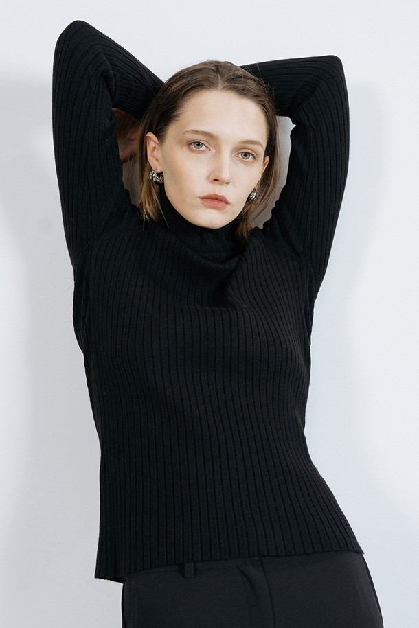 cordinary - 스웨터 - Soft ribbed turtleneck knit - black