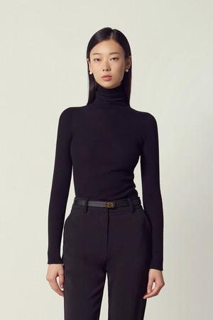 Wholegarment Turtle-neck Long Sleeve Knit Top Black