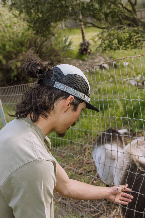 실버 컬러의 트레일러너 모자입니다. 나일론과 폴리에스터 혼방 소재로 제작되어 봄, 여름, 가을 계절에 착용하기 좋습니다. 중간 깊이의 모자이며, 부드러운 촉감과 짧은 챙이 특징입니다. 메쉬 패널 디자인으로 통기성을 높였으며, 블랙 언더빌로 눈부심을 방지합니다. 조절 가능한 나일론 웨빙 스트랩과 곡선형 챙 디자인으로 스포티하고 미니멀한 스타일을 연출할 수 있습니다. 트레일러닝, 아웃도어, 러닝 등 다양한 활동에 적합하며, 러닝룩, 등산룩, 캠핑룩에도 잘 어울립니다.
