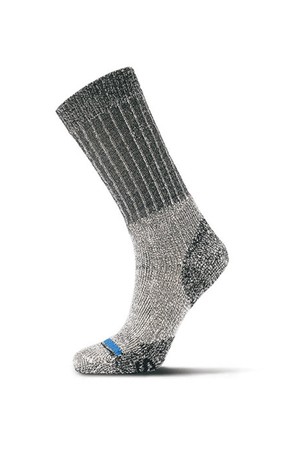 더 엑스퍼디션 더 맥스