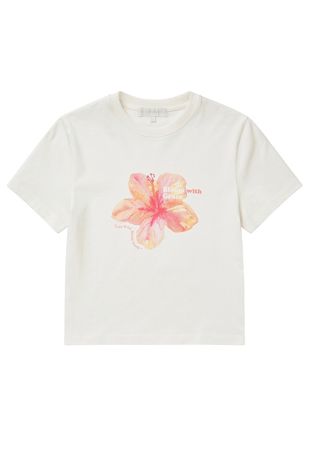 화사한 플라워 프린트가 돋보이는 플라워 프린트 반팔 티셔츠 WHITE입니다. 부드러운 면 소재로 제작되어 편안한 착용감을 선사하며, 얇은 두께감으로 봄, 여름 시즌에 시원하게 입기 좋습니다. 라운드넥과 레귤러핏 디자인으로 캐주얼하고 미니멀한 스타일을 연출하며, 데이트룩 또는 카페룩에 잘 어울립니다. 로맨틱한 무드를 더해주는 플라워 프린트 디테일이 특징입니다. 여성스러운 매력을 강조하는 데일리 티셔츠입니다.
