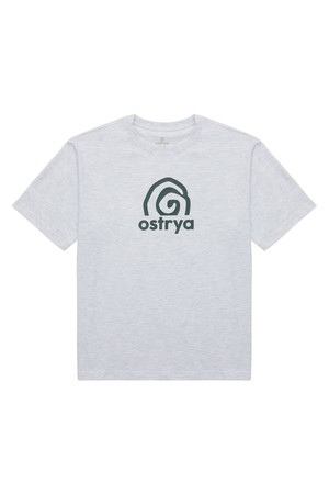 Rising Swirl Heavy Du-Tee Heather Gray