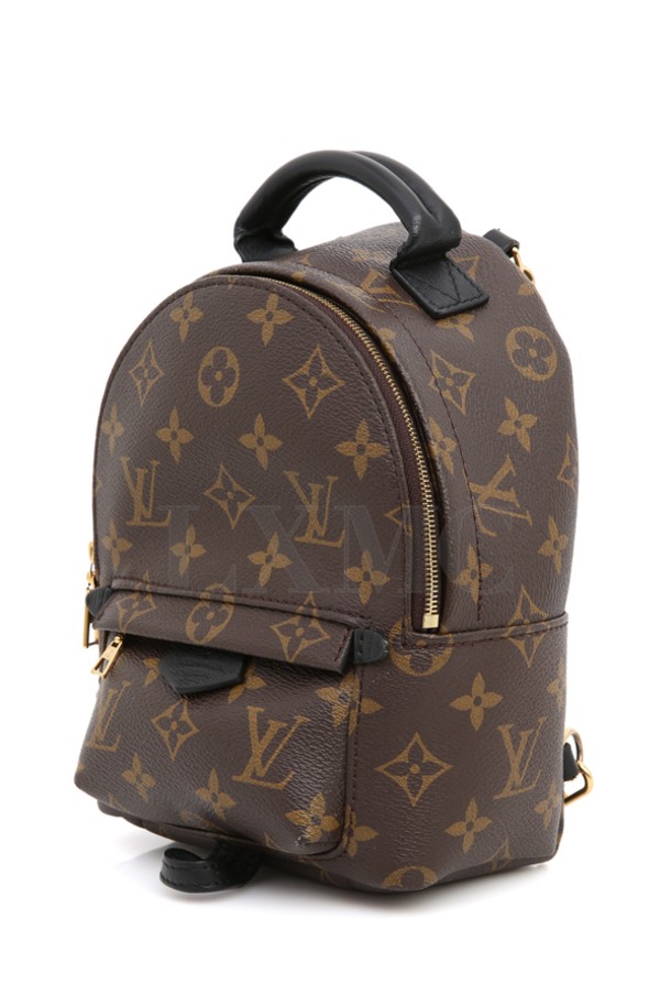 LOUIS VUITTON - 백팩 - [중고명품] 루이비통 모노그램 팜스프링스 미니 백팩 M44873