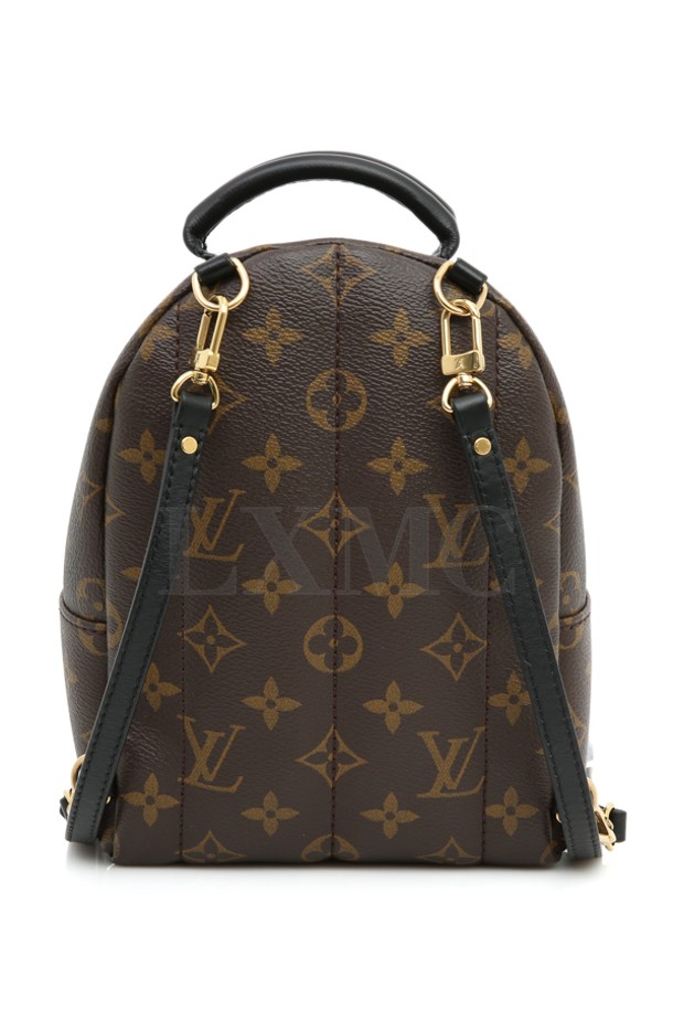 LOUIS VUITTON - 백팩 - [중고명품] 루이비통 모노그램 팜스프링스 미니 백팩 M44873