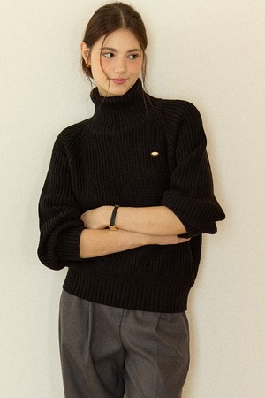 Phoebe Cable Turtleneck Knit - Black