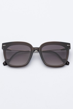 EF49 SUNGLASS BROWN